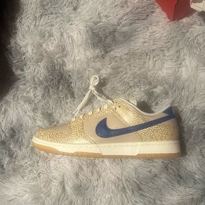 Size 9 men’s Nike dunk  brand new never worn